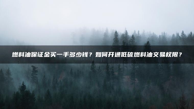燃料油保证金买一手多少钱？如何开通低硫燃料油交易权限？