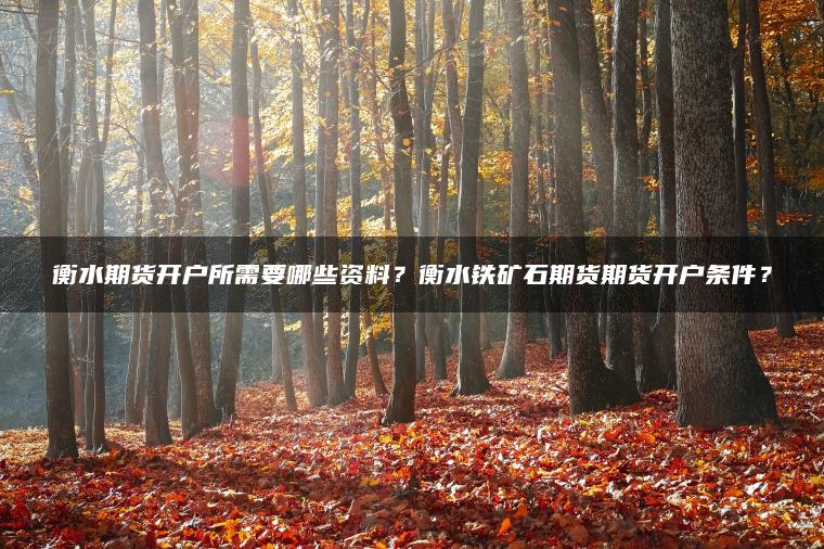 衡水期货开户所需要哪些资料？衡水铁矿石期货期货开户条件？