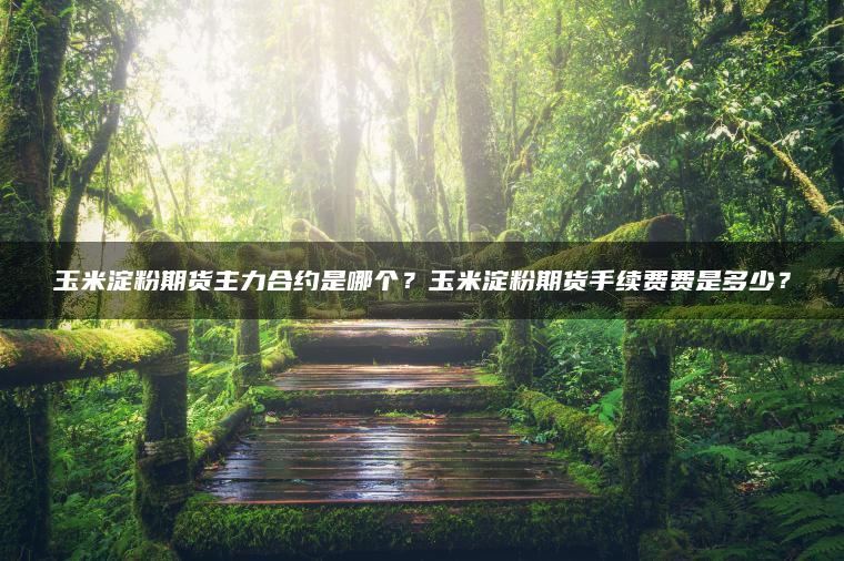 玉米淀粉期货主力合约是哪个？玉米淀粉期货手续费费是多少？