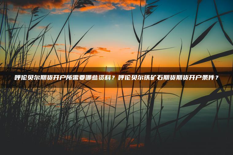 呼伦贝尔期货开户所需要哪些资料？呼伦贝尔铁矿石期货期货开户条件？