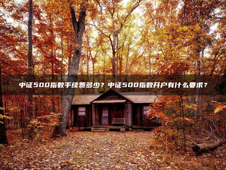 中证500指数手续费多少？中证500指数开户有什么要求？