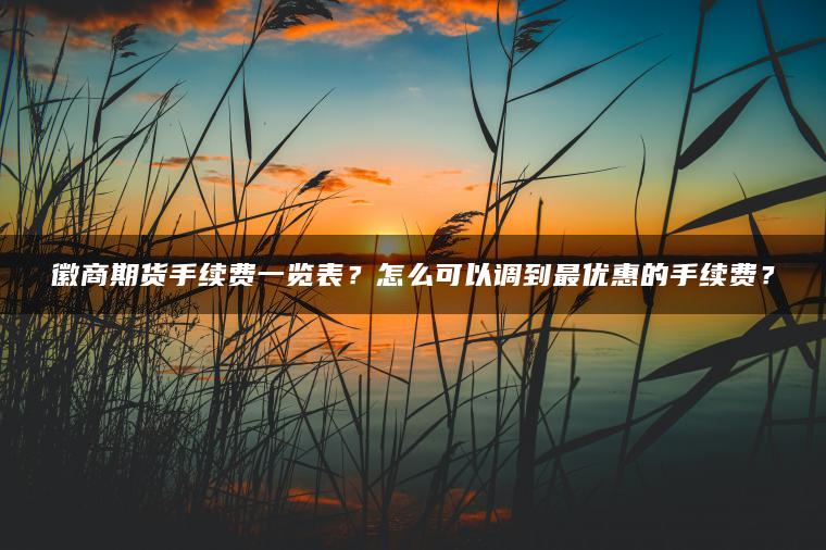 徽商期货手续费一览表？怎么可以调到最优惠的手续费？