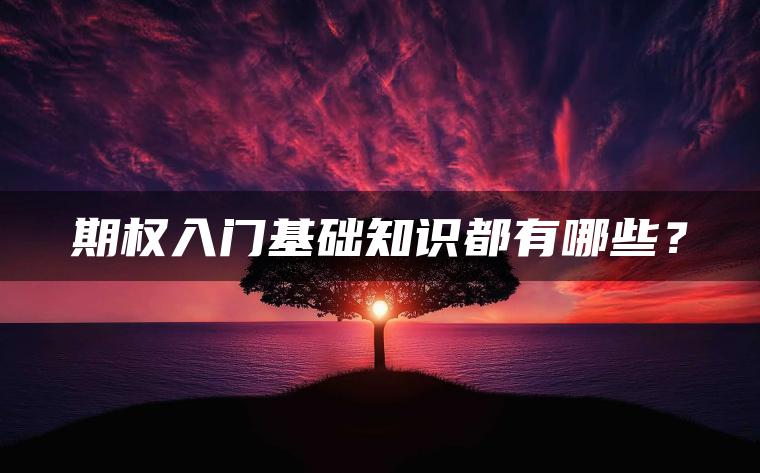 期权入门基础知识都有哪些？