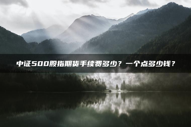 中证500股指期货手续费多少？一个点多少钱？