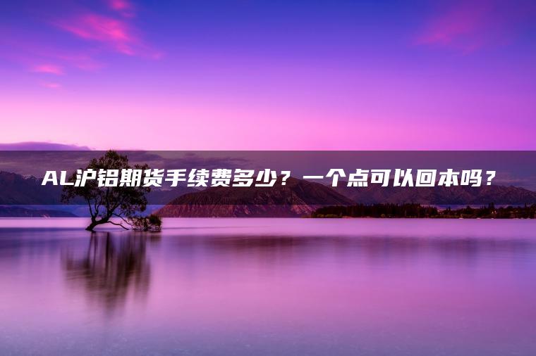 AL沪铝期货手续费多少？一个点可以回本吗？