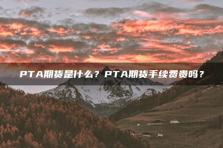PTA期货是什么？PTA期货手续费贵吗？