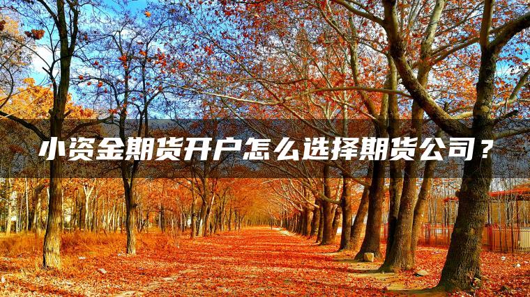 小资金期货开户怎么选择期货公司？