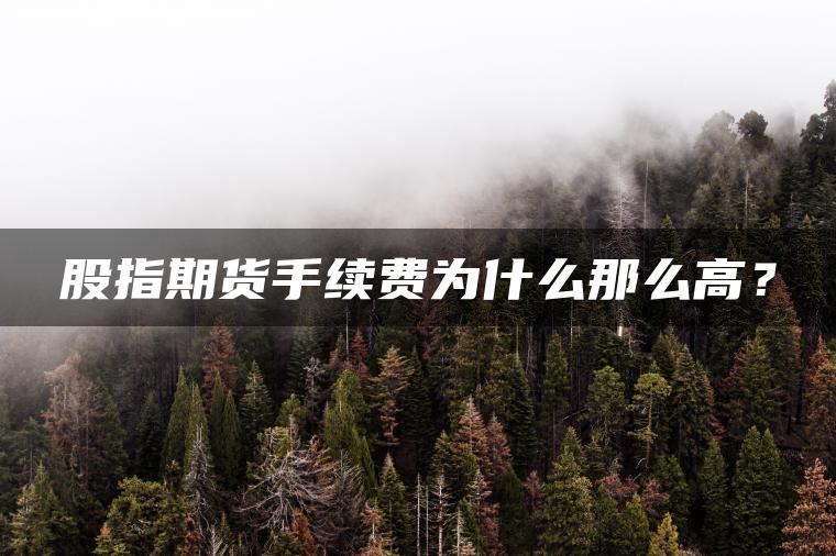 股指期货手续费为什么那么高？