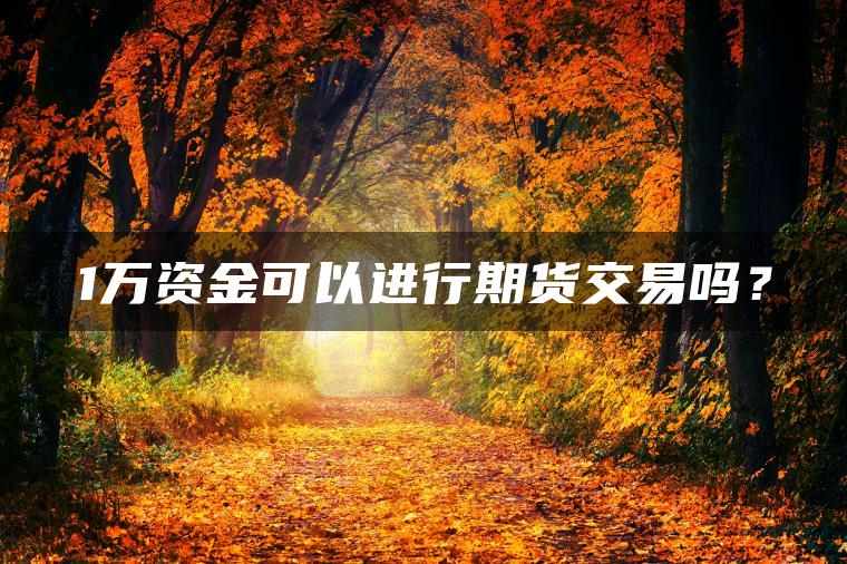 1万资金可以进行期货交易吗? 1万资金可以进行期货交易吗?