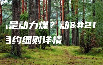 什么是动力煤？动力煤合约细则详情