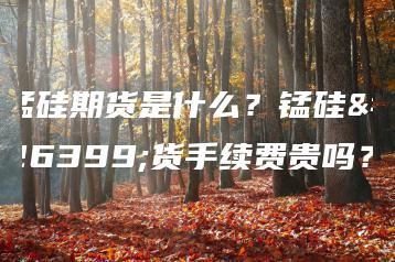 锰硅期货是什么？锰硅期货手续费贵吗？