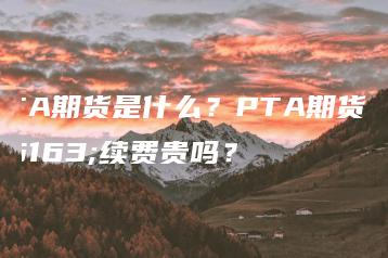 PTA期货是什么？PTA期货手续费贵吗？