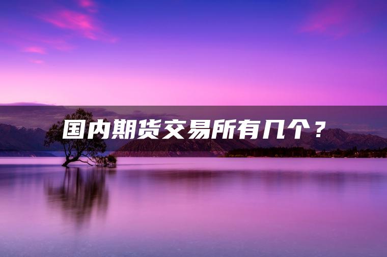 国内期货交易所有几个？