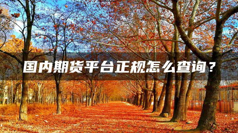 国内期货平台正规怎么查询？