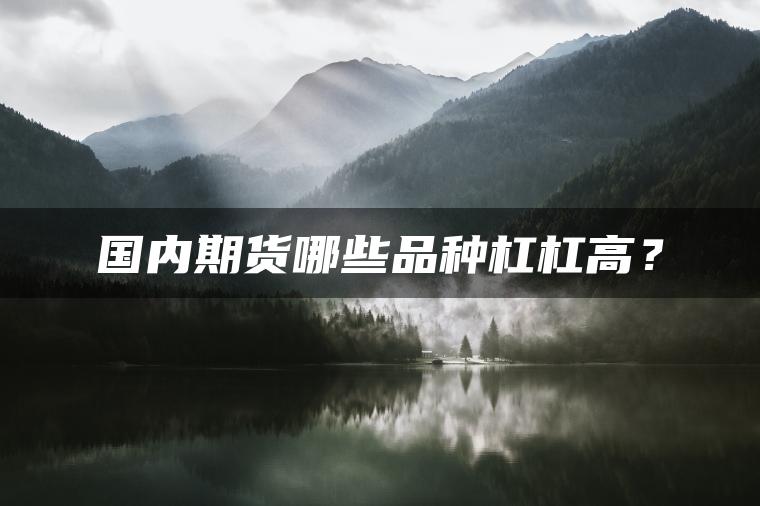 国内期货哪些品种杠杠高？