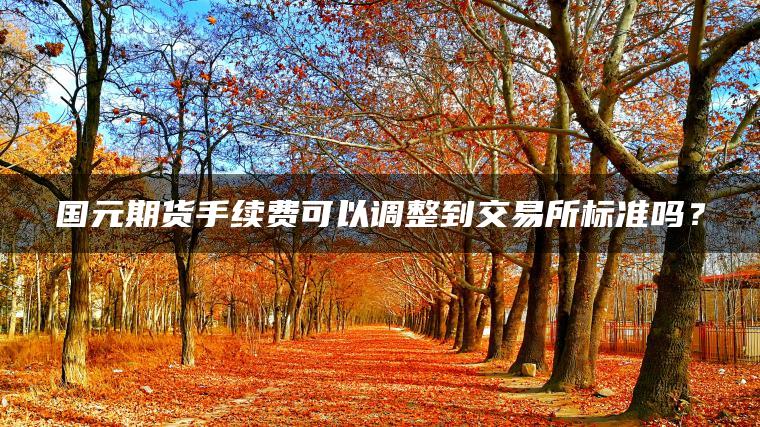 国元期货手续费可以调整到交易所标准吗？