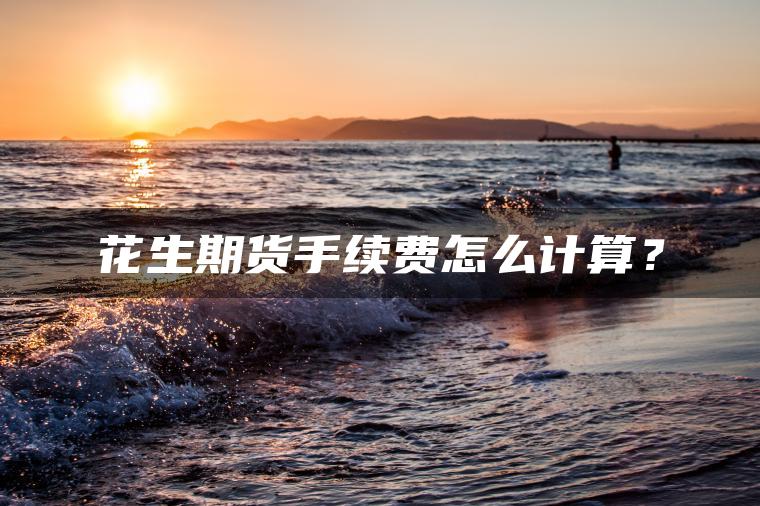 花生期货手续费怎么计算？