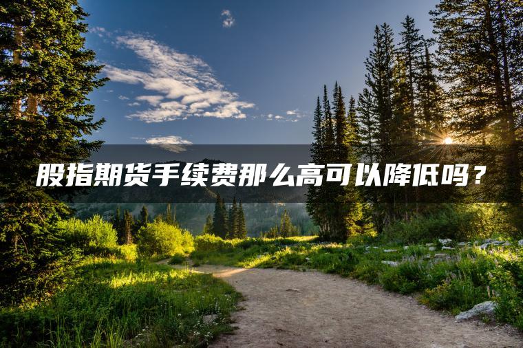 股指期货手续费那么高可以降低吗？