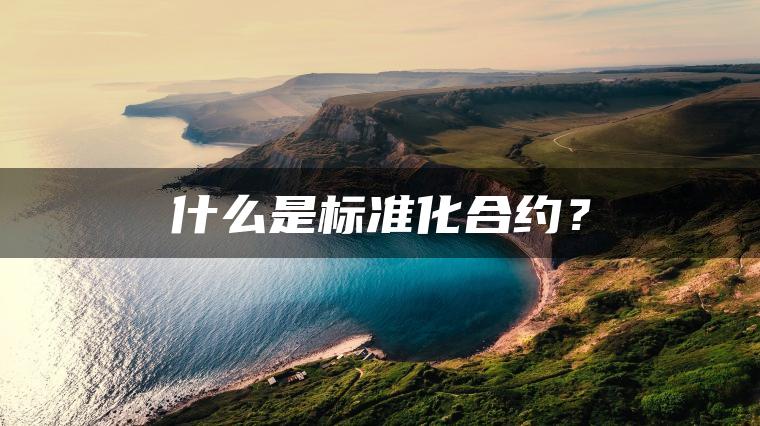 什么是标准化合约? 什么是标准化合约?