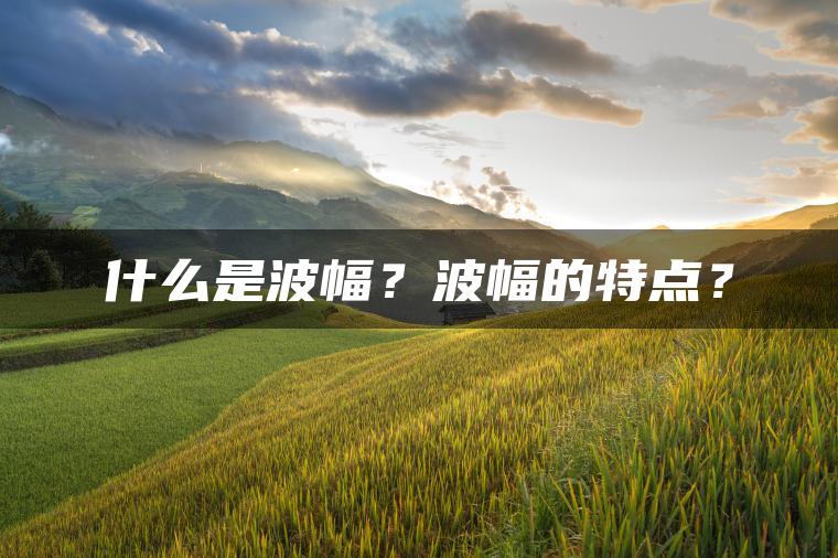 什么是波幅?波幅的特点? 什么是波幅?波幅的特点?