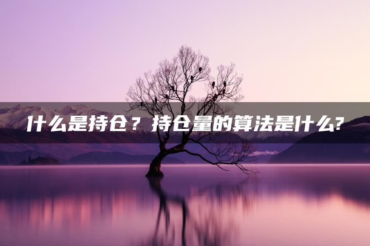 什么是持仓?持仓量的算法是什么? 什么是持仓?持仓量的算法是什么?