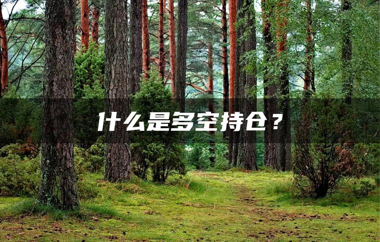 什么是多空持仓？