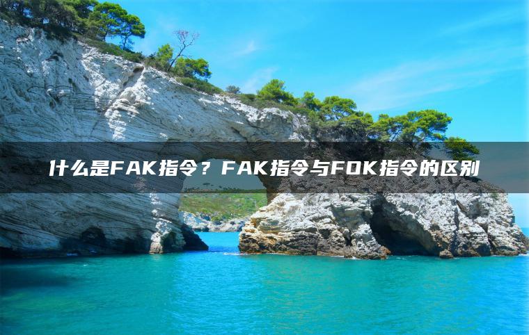 什么是FAK指令?FAK指令与FOK指令的区别 什么是FAK指令?FAK指令与FOK指令的区别