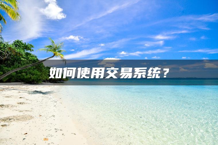 如何使用交易系统？