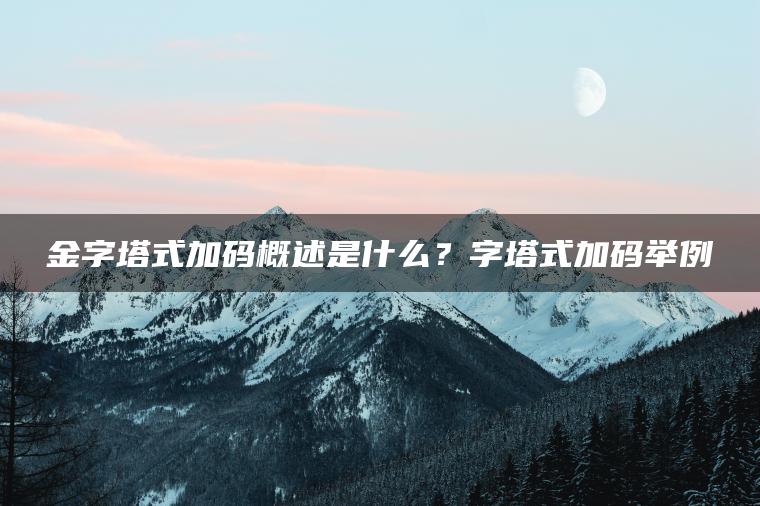 金字塔式加码概述是什么?字塔式加码举例 金字塔式加码概述是什么?字塔式加码举例