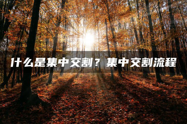 什么是集中交割？集中交割流程