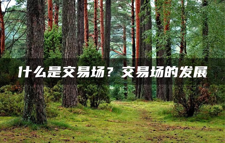 什么是交易场?交易场的发展 什么是交易场?交易场的发展