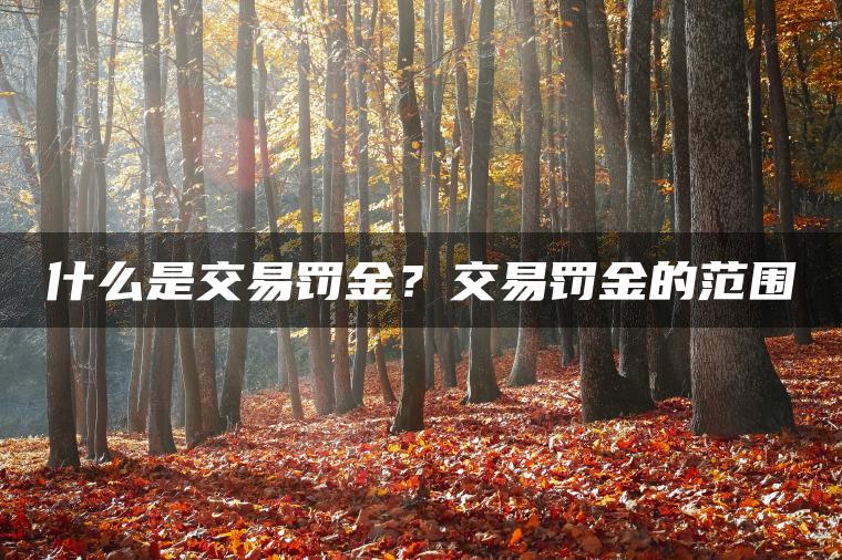什么是交易罚金？交易罚金的范围