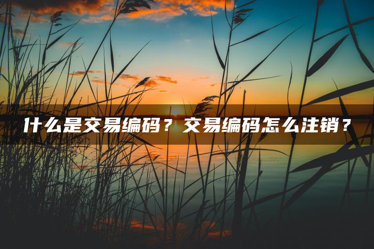 什么是交易编码?交易编码怎么注销? 什么是交易编码?交易编码怎么注销?