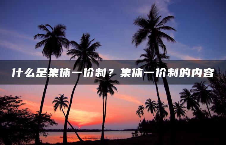 什么是集体一价制?集体一价制的内容 什么是集体一价制?集体一价制的内容