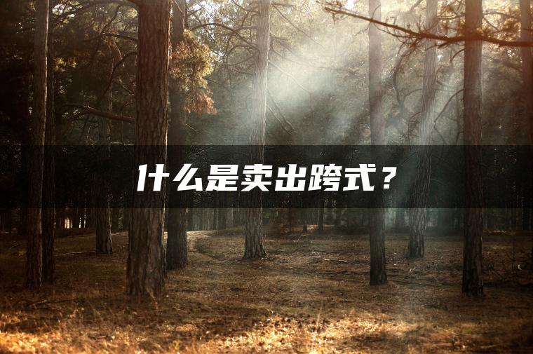 什么是卖出跨式？