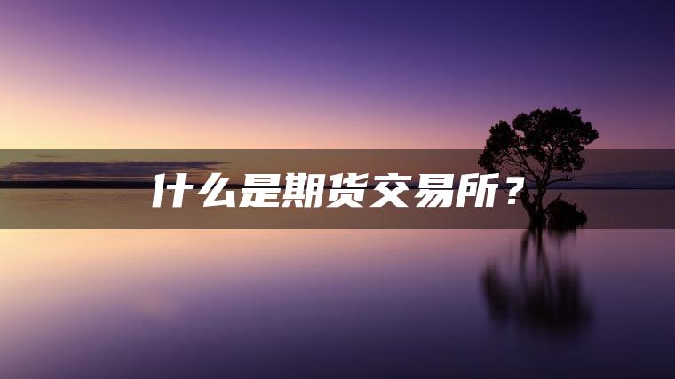 什么是期货交易所? 什么是期货交易所?