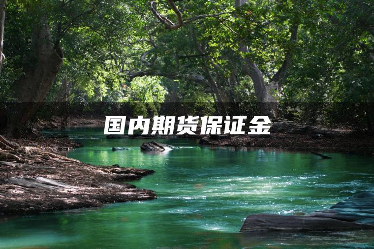 国内期货保证金