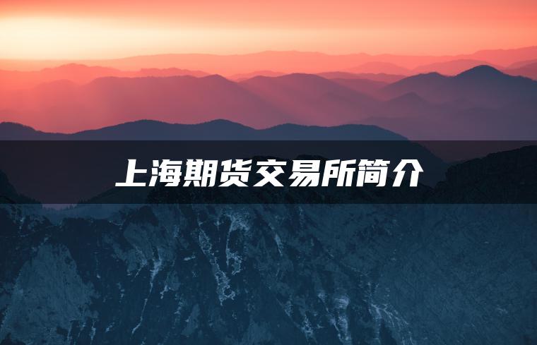 上海期货交易所简介