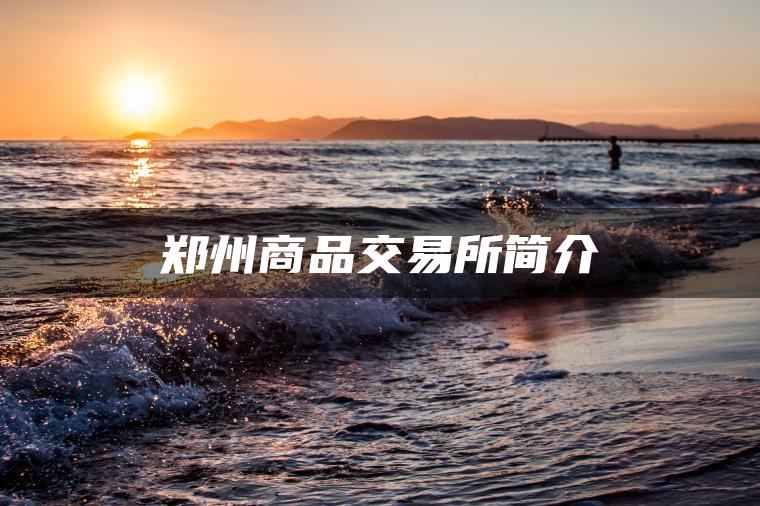 郑州商品交易所简介