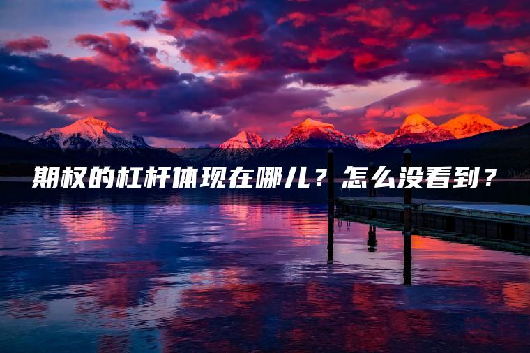 期权的杠杆体现在哪儿？怎么没看到？