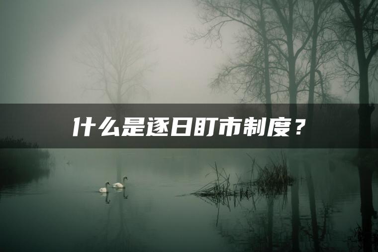 什么是逐日盯市制度？