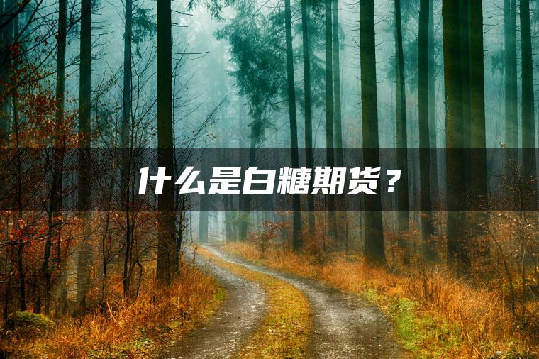 什么是白糖期货？