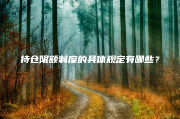 持仓限额制度的具体规定有哪些？