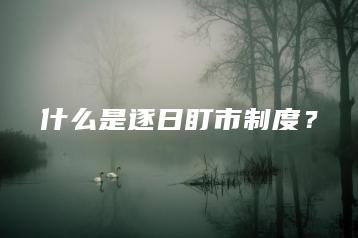 什么是逐日盯市制度？