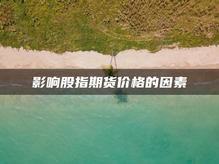 影响股指期货价格的因素 影响股指期货价格的因素