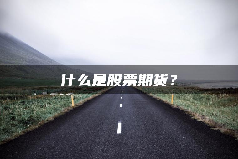 什么是股票期货? 什么是股票期货?