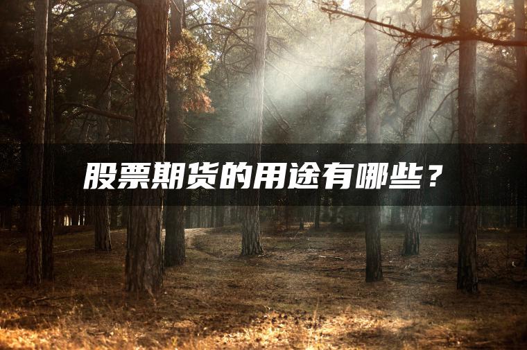 股票期货的用途有哪些？
