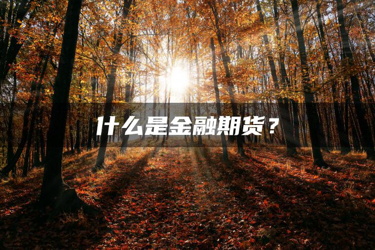 什么是金融期货？