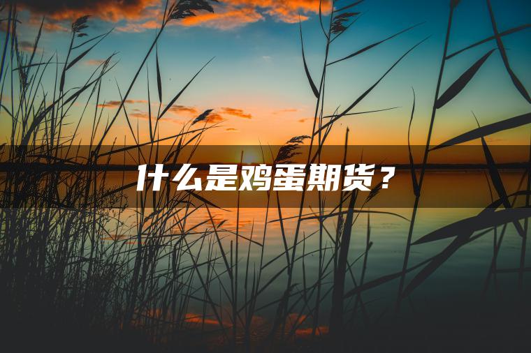 什么是鸡蛋期货？