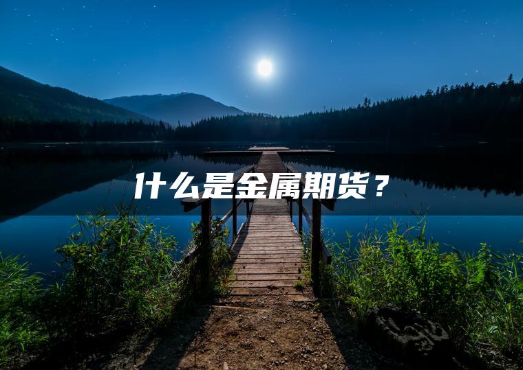 什么是金属期货? 什么是金属期货?